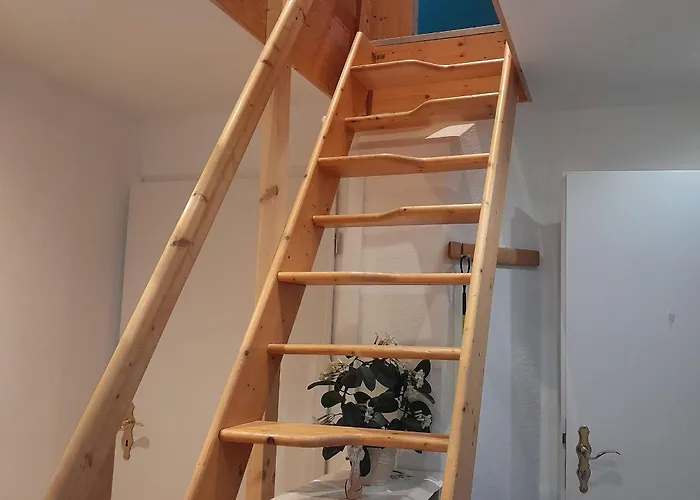 Апартаменты Marion Franke *